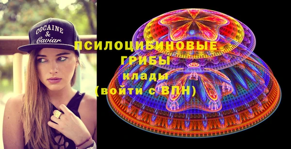 шишки Переславль-Залесский