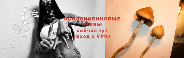 первитин Арсеньев