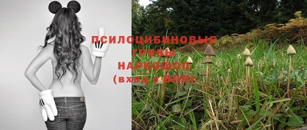 первитин Арсеньев