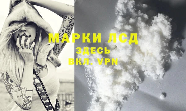 эйфоретик Осинники