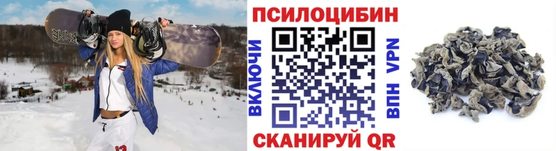 как найти   Нижние Серги  блэк спрут как зайти  Галлюциногенные грибы Cubensis 